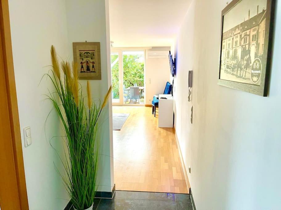 Schoene Wohnung Mit Eigenen Eingang Und Terrasse Gosseling Extérieur photo